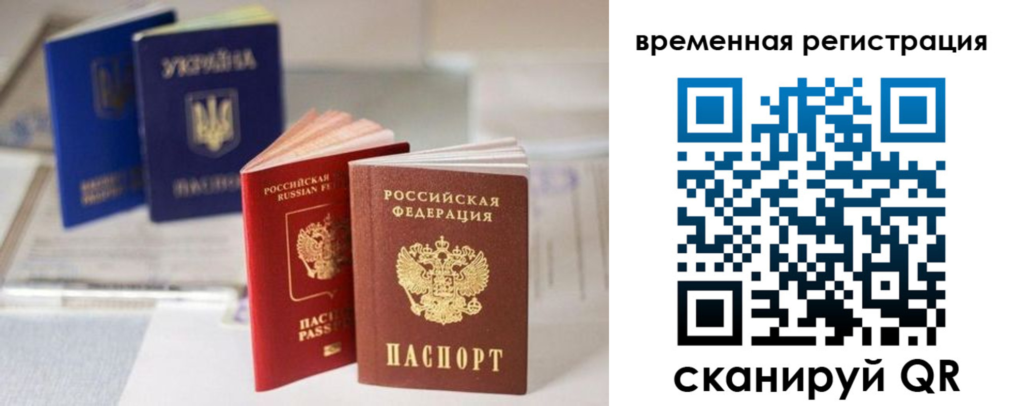 прописка поиск в Курской области